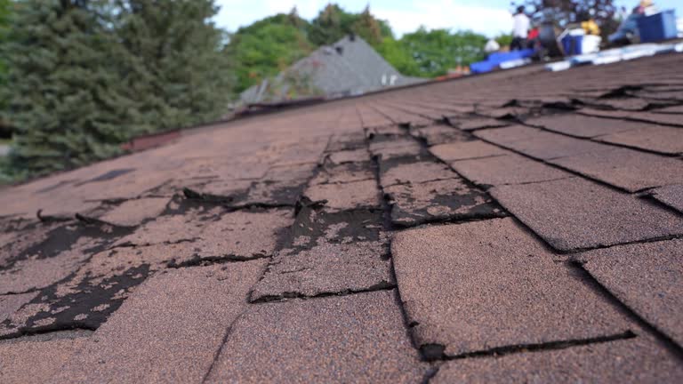 Fast & Reliable Emergency Roof Repairs in Baxter Estates, NY